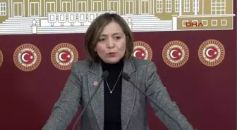 Dilek Akagün Yılmaz : Tanrıkulu, CHP'de Bir Hdp Temsilcisi Gibi Davranmaktadır