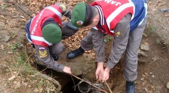 İzinsiz Kazı Yapmak İsteyen Guruba Jandarma Baskını