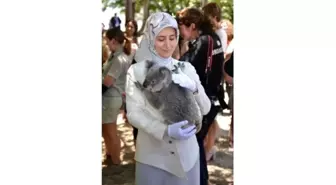 G20'ye Katılan Liderlerin Eşlerine Özel Program