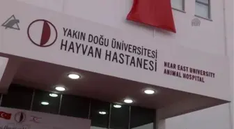 YDÜ'de Veteriner Fakültesi ve Hayvan Hastanesi Açıldı