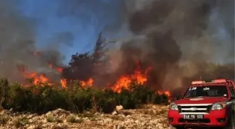 Anız Yakmanın Faturası Ağır Olacak