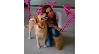 Üniversiteli Bengü Ölüme Daldı