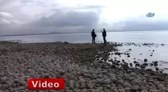 Van Gölü Giderek Küçülüyor