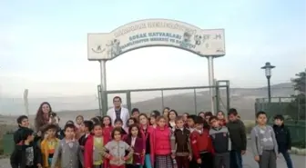 Bilgi Evi Öğrencileri Sokak Hayvanları Rehabilitasyon Merkezi'ni Gezdi