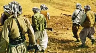 PKK'nın Eski Komutanı Peşmergeyi Eğitiyor