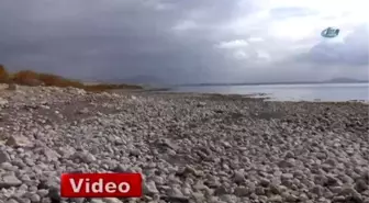 Van Gölü Haritasının Şekli Değişiyor Mu?