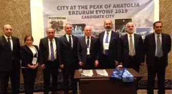 Avrupa Gençlik Olimpik Kış Festivali, 2019'da Türkiye'de!