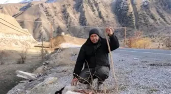 Hakkari'de Tır'ın Çarptığı Sürüde 30 Koyun Telef Oldu