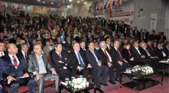 Hüseyin Çelik: 'Bir Kürt Olarak Utanç Duydum'