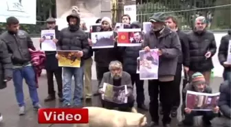 Sokakta Yaşayan Vatandaşların Yardım Çığlığı