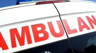 Adıyaman'da Otomobil, Ata Çarptı: 1 Yaralı