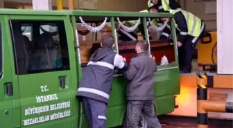 Polis, Sırp Taraftarın Katil Zanlısını Yakaladı