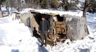 Akseki'de Kar Nedeniyle Dağda Mahsur Çoban ve Eşine Ulaşıldı