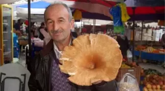 Dev Mantar Görenleri Şaşırttı