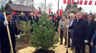 Belediye Başkanı Salman, Yalova'da Ağaç Kesti, Dağıstan'da Ağaç Dikti