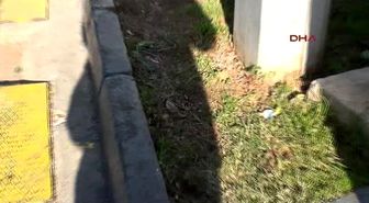 Tartıştığı Adamı Sokak Ortasında Vurup Kaçtı