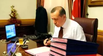 Böcek Skandalında Son Gelişme