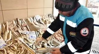 Ankara'da Balık Denetimi