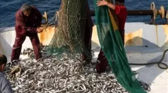 Balıkçılara 23 Bin 975 Liralık Ceza