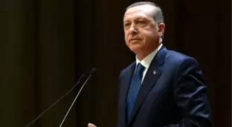 Welt Am Sonntag: Yalnız Sultan Erdoğan