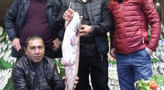 Balıktaki Bolluk Vatandaşın Yüzünü Güldürüyor