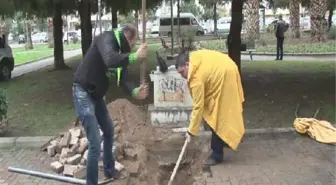 Hayvansever Tedavi Görüyor, Belediye 'İhmal Yok' Diyor