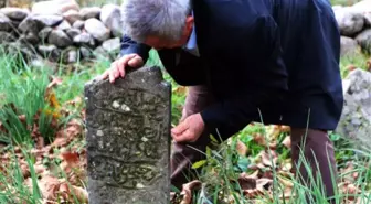 Fındıcak Şehitliği Yok Olma Tehlikesinde