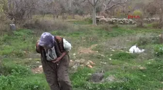 Kahramanmaraş Fındıcak Şehitliği Yok Olma Tehlikesinde