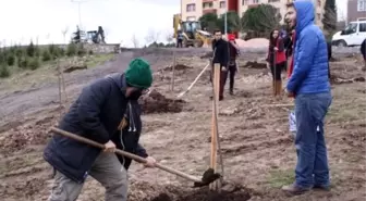 319 Maden Şehidi Anısına 319 Fidan