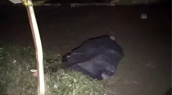 Bursa'da Kamyonetin Çarptığı Kişi Öldü