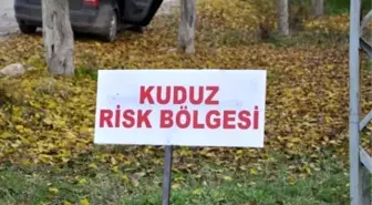 Tunceli Pertek'te Kuduz Karantinası