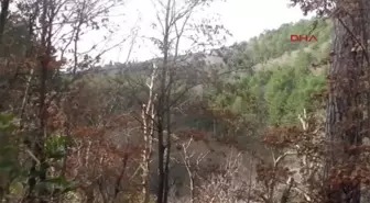 Çanakkale Kazdağları'ndaki Eski Yerleşim Yeri Gizemini Koruyor