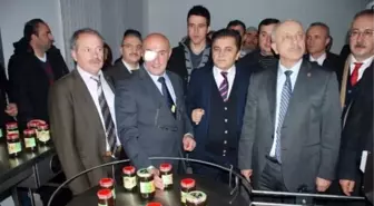 Kdz. Ereğli'ye Arıcılıkla Tedavi Merkezi Kurulacak