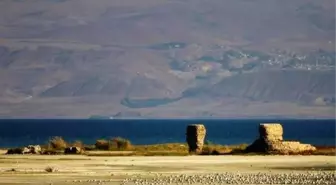 Van Gölü Çekilince Tarihi Kalıntılar Ortaya Çıktı