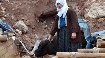 Toprak Kayması Sonucu Besi Damı Yıkıldı