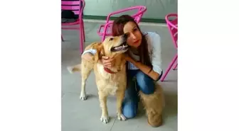 Üniversiteli Kızı Havuzda Boğulan Baba Konuştu