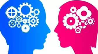 Erkekler Kadınlardan Daha Aptal