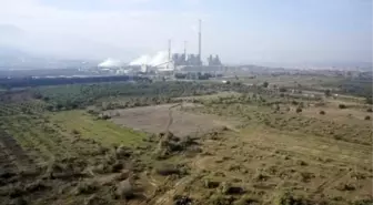 Yırca'da ÇED'in Yürütmesi De Durduruldu