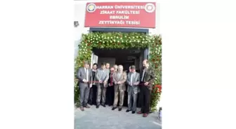 Harran Üniversitesinde Zeytinyağı İşletmesi Açıldı