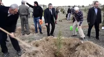 Ermenek'teki Maden Şehitleri İçin Fidan Dikildi