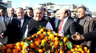 Ahmet Özal: Seçim Barajının Yüzde 5'e İndirilmesi Lazım