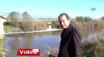 Menderes Nehri Ölüm Saçıyor