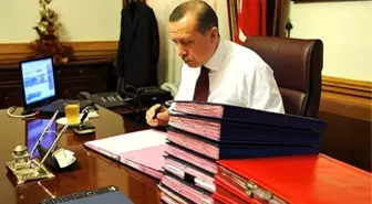 Ofisten Çıkan Böceklerin Yuvası Bulundu!