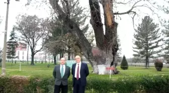 Alman Avukat 20 Yıl Sonra Kaymakam Arkadaşını Buldu