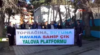 Yalova Platformu Ağaç Kesimini Protesto Etti