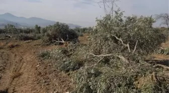 İşte Danıştay'ın Yırca İçin Verdiği Gerekçeli Karar