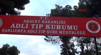 Ceylanpınar'da Kaza: 2 Ölü, 1 Yaralı