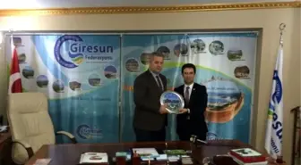 Giresun 'Gabuğunu' Kırıyor