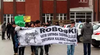 Bolu'da Üniversite Öğrencilerinden 'Uludere' Protestosu