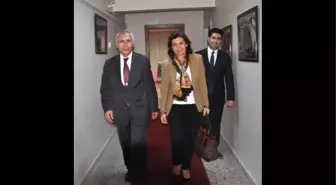 Satranç Federasyonu Başkanı Tülay, Hadi'yi Ziyaret Etti